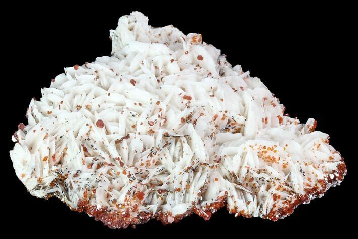 Ruby Red Vanadinite Crystals on Barite - Morocco #100713